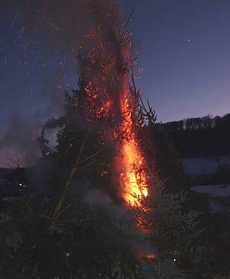 Weihnachtsb&auml;ume nicht wegwerfen (Foto: Karl-Heinz Herrmann)