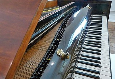 und heute ins Museum... (Foto: Karl-Heinz Herrmann)