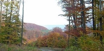 Radwanderer aufpassen! (Foto: Karl-Heinz Herrmann)
