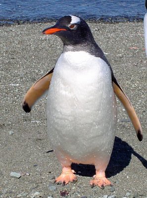 Klima wandelt Th&uuml;ringen (Foto: Rene Most)