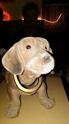 Weihnachtsfeier auf dem Hundeplatz... (Foto: Jacqueline Lange)