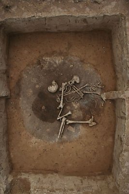 Reiche Erkenntnisse � (Foto: Redner)