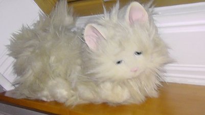 top Zustand (Foto: )