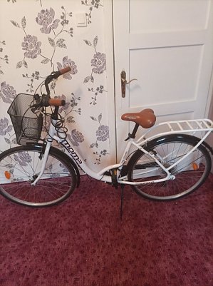 Damenfahrrad (Foto: )