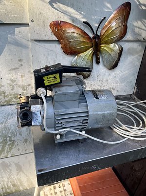 Pumpe Petti (Foto: )