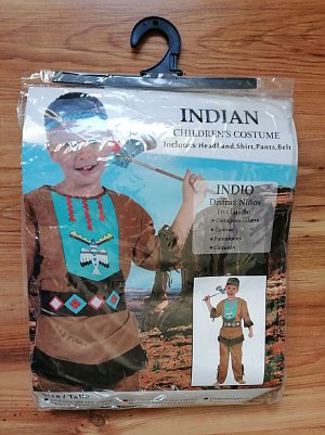 Faschingskost&uuml;m  (Foto: )