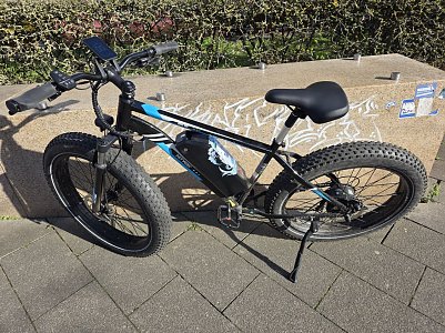 Verkaufe mein E-Bike  (Foto: )