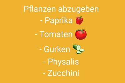 Pflanzen  (Foto: )
