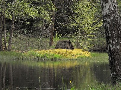 Sch&ouml;ne Eindr&uuml;cke bei bestem Wetter sammelte gestern Peter Blei im Harz Foto: Peter Blei