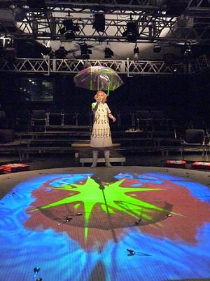 Unterm Dach (Foto: I. K&uuml;hn)