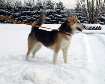 Elba (Foto: C. Knust)