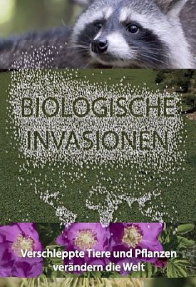 Bild: SDH: Ausstellungser&ouml;ffnung am Sonnabend