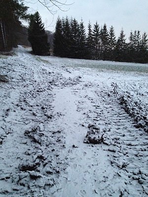Bild: Probleme bei den Wanderwegen?