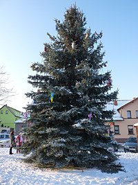 Bild: Weihnachtsmarkt in Jecha