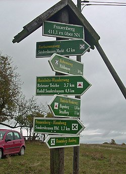 Bild: Wegebaum Frauenberg