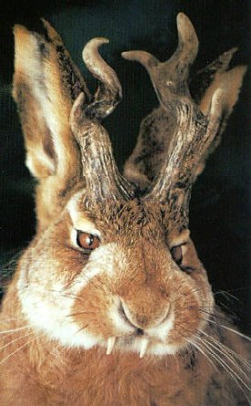 Bild: Suche nach dem Osterschatz!!!