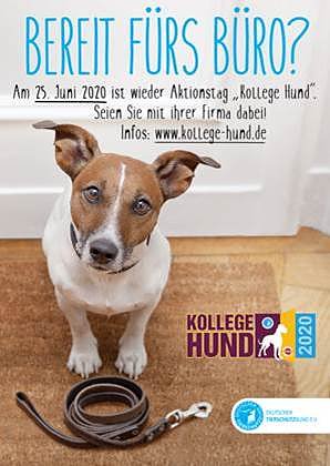 Bild: Aktionstag Kollege Hund