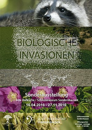 Bild: Erkundungsgang durch Sondershausen