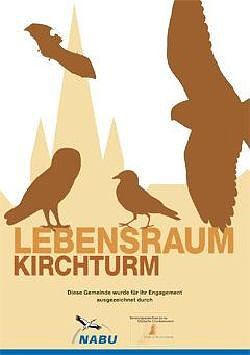 Bild: Lebensraum Kirchturm