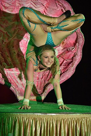 Bild: Fernseh-Circus Moreno in Sondershausen