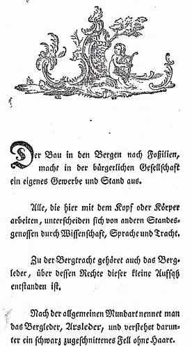 Bild: Das Arschleder