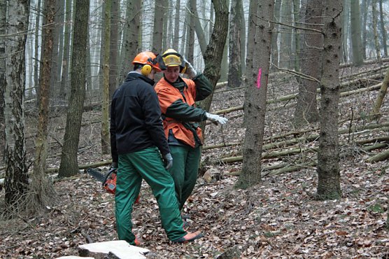 Motors&auml;genlehrgang im Forstamt Oldisleben (Foto: Forstamt Oldisleben)
