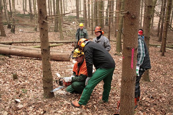 Motors&auml;genlehrgang im Forstamt Oldisleben (Foto: Forstamt Oldisleben)