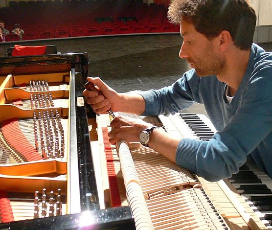 Gestimmt (Foto: I. Kühn) Gestimmt (Foto: I. Kühn)