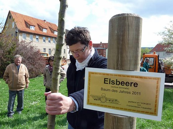 Baum gepflanzt (Foto: Karl-Heinz Herrmann)