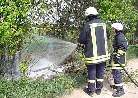 Baumpflege mit Feuer? (Foto: Karl-Heinz Herrmann)