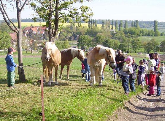 Was f&uuml;r ein sch&ouml;ner Tag (Foto: Kita Gro&szlig;furra)