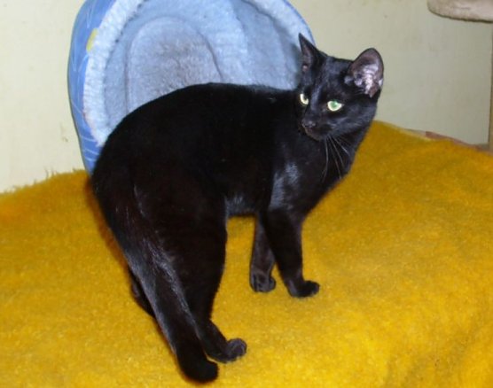 Dora (Foto: C. Knust)