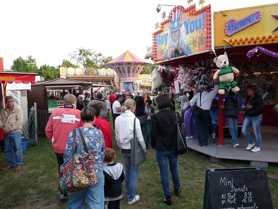 Fliederkrone gesetzt (Foto: Karl-Heinz Herrmann)