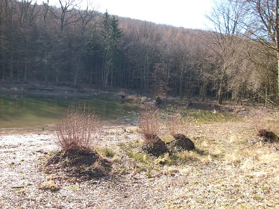 Pfaffenteich 2 (Foto: Karl-Heinz Herrmann)