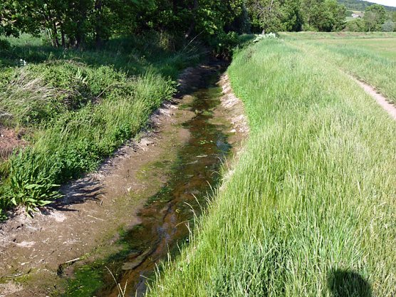 Nur noch Rinnsal (Foto: Karl-Heinz Herrmann)
