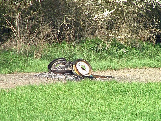 Feuerteufel unterwegs (Foto: Karl-Heinz Herrmann)
