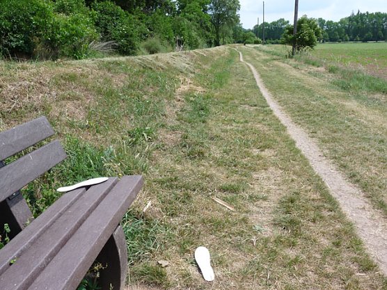 Harter Job? (Foto: Karl-Heinz Herrmann) Harter Job? (Foto: Karl-Heinz Herrmann)