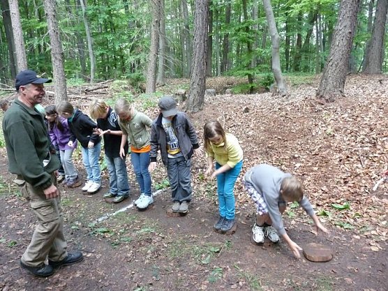 Waldjugendspiele begeisterten (Foto: Karl-Heinz Herrmann) Waldjugendspiele begeisterten (Foto: Karl-Heinz Herrmann)