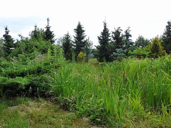 Richtfest gefeiert (Foto: Karl-Heinz Herrmann) Richtfest gefeiert (Foto: Karl-Heinz Herrmann)