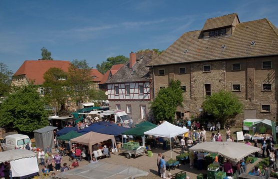 Erlebnistag Hohe Schrecke (Foto: Thomas Stephan)