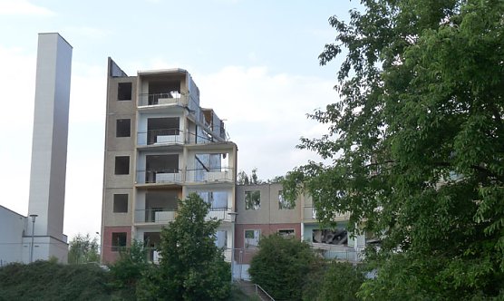 Ob er wächst? (Foto: Karl-Heinz Herrmann) Ob er wächst? (Foto: Karl-Heinz Herrmann)