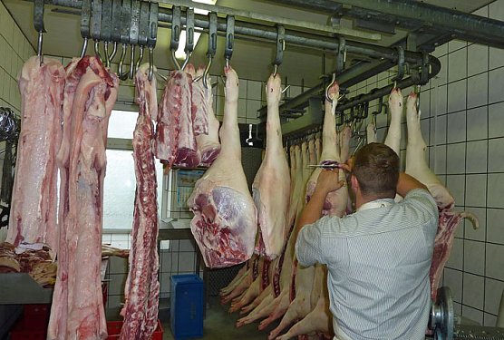 H&ouml;rchner Seega (Foto: Maxxomedia.PR)