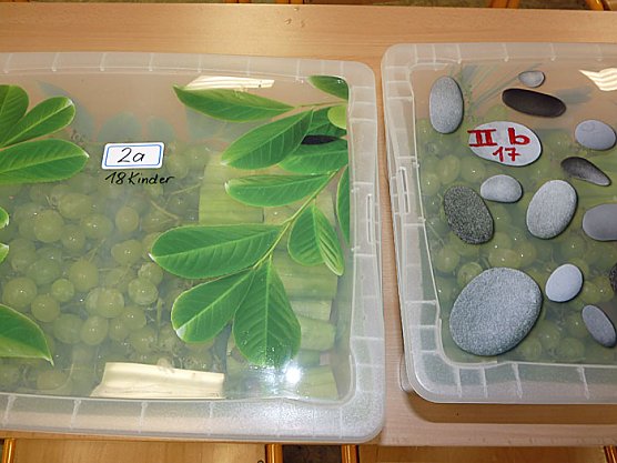 Schulobstprogramm gestartet (Foto: Karl-Heinz Herrmann)