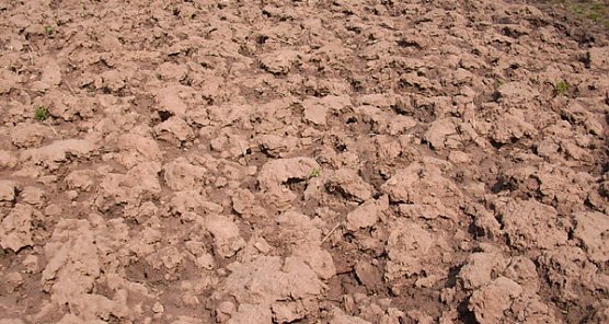 Umgegrabenes Gartenland (Foto: Siegmar Henkel)