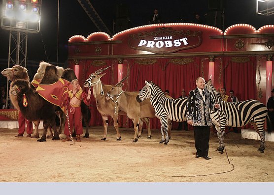 Zirkus Probst (Foto: Zirkus Probst)