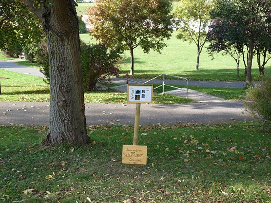Baum des Jahres (Foto: Karl-Heinz Herrmann)
