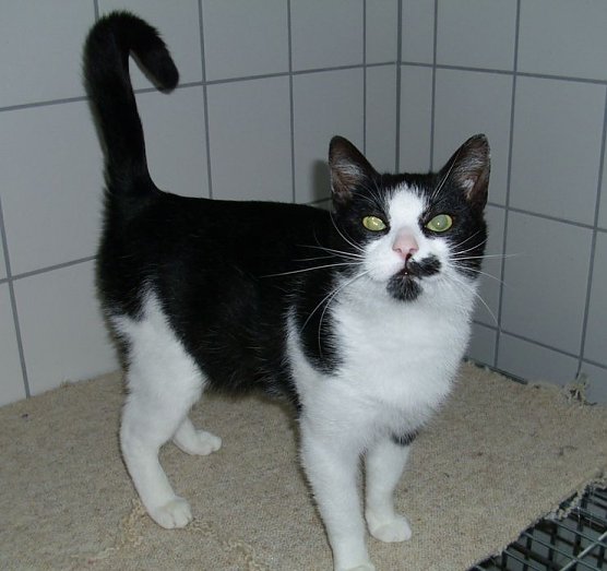 Crash (Foto: C. Knust)