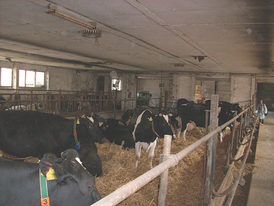 Agrar- Donndorf (Foto: Karl-Heinz Herrmann) Agrar- Donndorf (Foto: Karl-Heinz Herrmann)