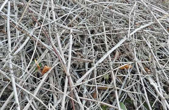 Unvernunft geht los (Foto: Karl-Heinz Herrmann)