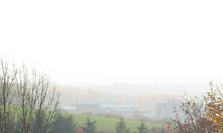 Diesig (Foto: Karl-Heinz Herrmann)